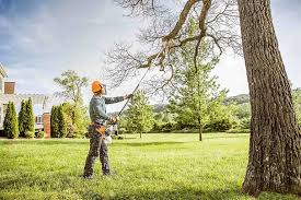 Best Lawn Grading and Leveling  in Cortland, NY