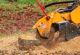 Best Lot and Land Clearing  in Cortland, NY