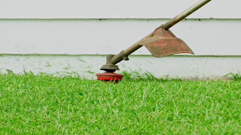 Best Leaf Removal  in Cortland, NY