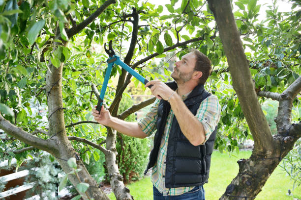 Best Lawn Watering Services  in Cortland, NY